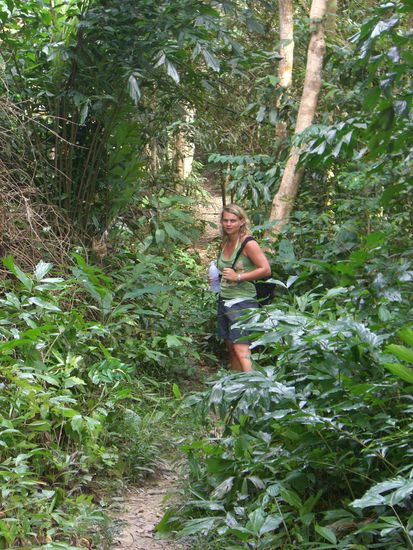 In the jungle, the mighty jungle,
Birgit wanders today
