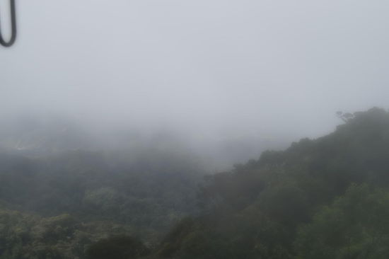 leider nichts als Nebel