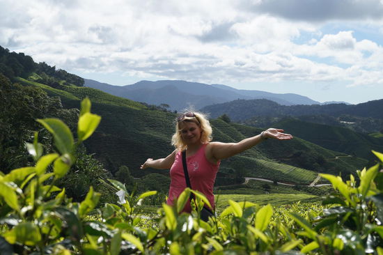 komische Tiere leben da...