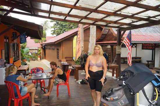 tauchen (Highlights: 1,50 Meter Rochen, Riesenschildkröten und Haie)...