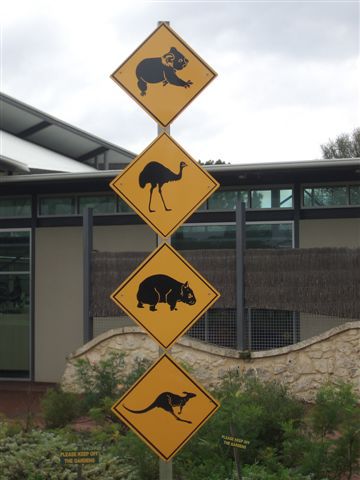 eingang zum wildsanctuary