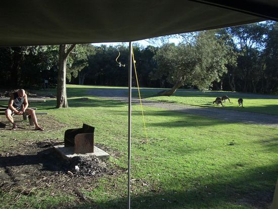 camping mit den kaengurus...joehhhh