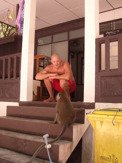 hey man, hei die ae diskussion gfuert ob dae fraech aff iz chli fruecht berchunnt oder nid...hahahahaha dr aff het gsiiget...