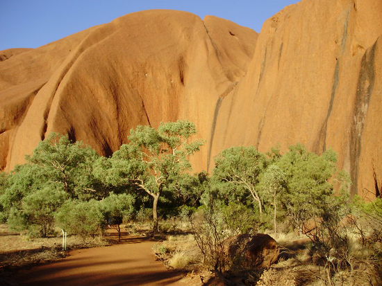 direkt am Uluru