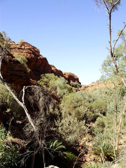 Garten Eden inmitten des Kings Canyon