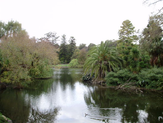 Botanic Garden