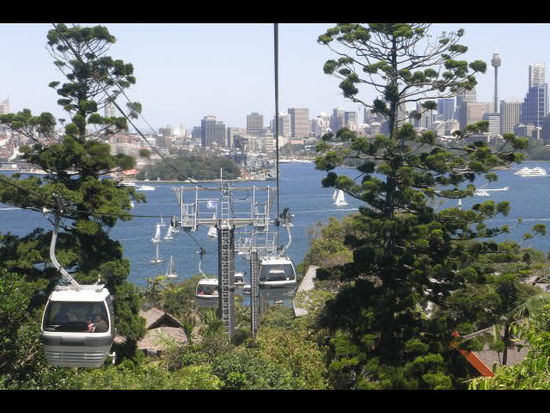 In der Gondelbahn mit Aussicht auf Sydney.