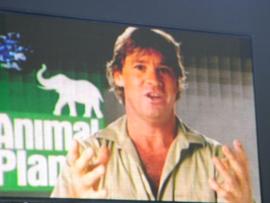 Steve Irwin