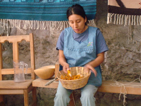 In einer traditionellen Weberei. Diese Zapotekin hat uns alles erklaert: vom Schaf bis zum fertigen Teppich 