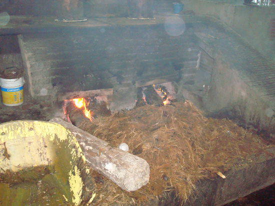 Auch eine Mezcalbrennerei haben wir uns angesehen - mit anschliessender Degustation
