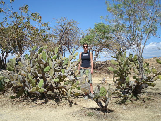 Und noch ein Kaktusfoetteli