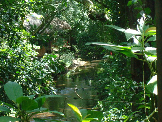 Aussicht von unserem Balkon