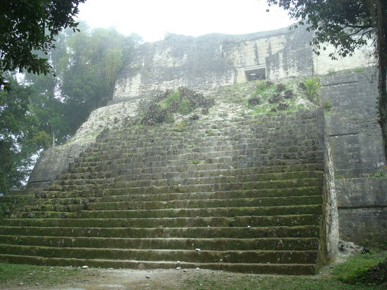 Ein Tempel der Gruppe H in der noerdlichen Zone (Tikal ist einfach rieeesig) inmitten des erwachenden Dschungels.