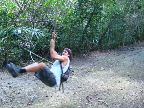 Auch so ein Vogel...