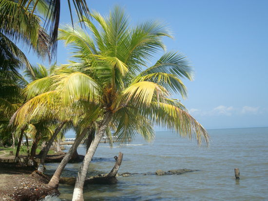 Kilometer um Kilometer, alles am Strand entlang...