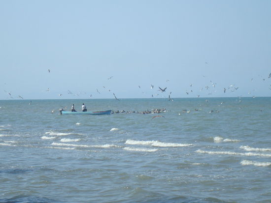 Auf dem Rueckweg schauen wir den Fischern bei der Arbeit zu...