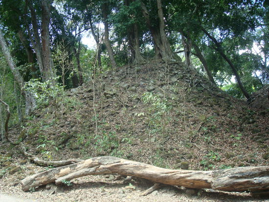 Diese Pyramide ist noch total ueberwuchert