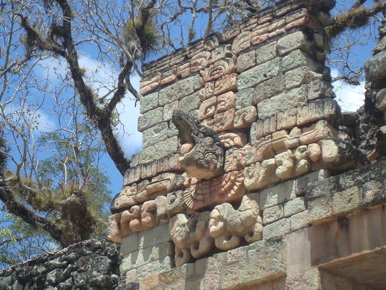 Neu fuer uns sind aber diese Krokodilkoepfe, die sehr oft in Copan anzutreffen sind.