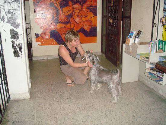 Jeanine hat in dem Hostelhund Mike schon einen Kollegen gefunden