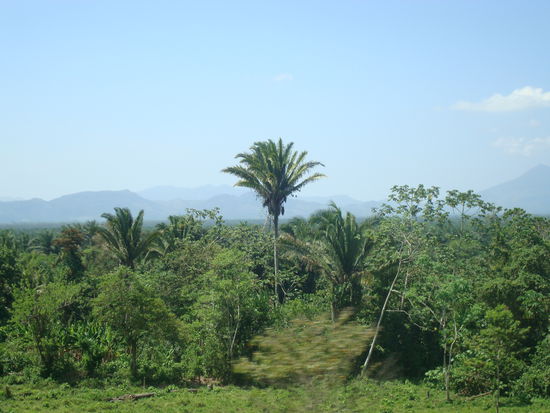Waehrend der Busfahrt konnten wir die ganze Zeit diese wunderschoene Landschaft geniessen.