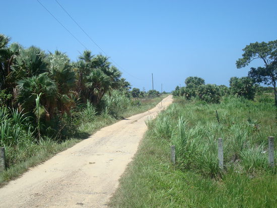 Dieser Weg fuehrt schlussendlich zu unserer Unterkunft