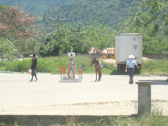 Rubrik honduranische Kuriositaeten: einmal volltanken bitte?!