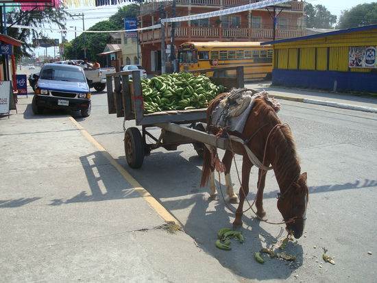 Altes, aber immer wieder gesehenes Transportmittel. E Guete