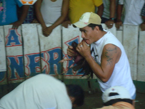 Erste Hilfe am Hahn (Beatmung)