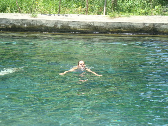 ... ein Naturschwimmbecken (wurde mittlerweile minim ausgebaut und gefestigt)  mit klarstem Wasser mitten im Wald.