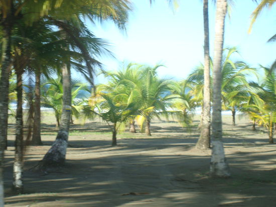 Fahrt mit dem Bus der Karibikkueste entlang