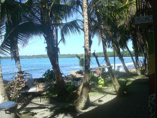 Haengematten in unserem Garten unter den schattenspendenden Palmen