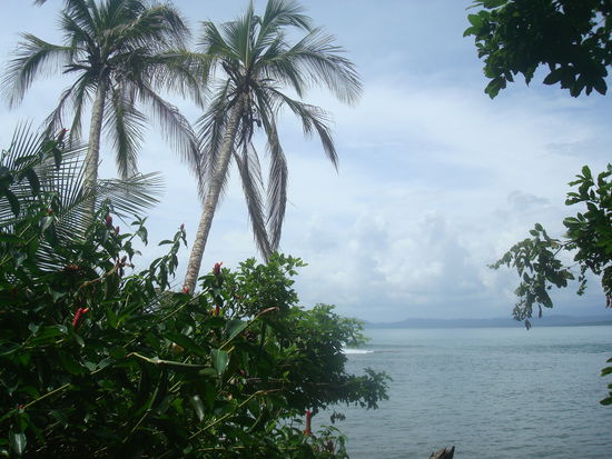 Der Weg fuehrt durch den Wald, aber auch an wunderschonen Straenden vorbei.