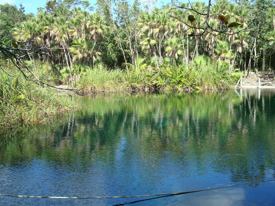 Bei der Cenote