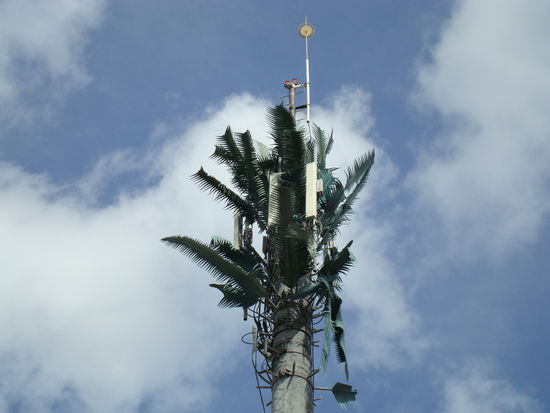 Rubrik: mexikanische Kuriositaeten.
getarnte Natelantenne