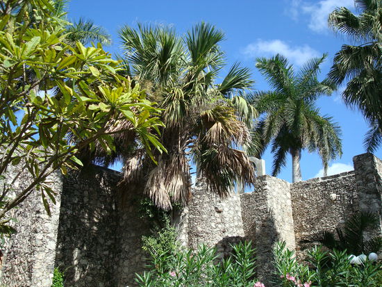 Im kleinen, botanischen Garten von Campeche, im Innnern einer Festung
