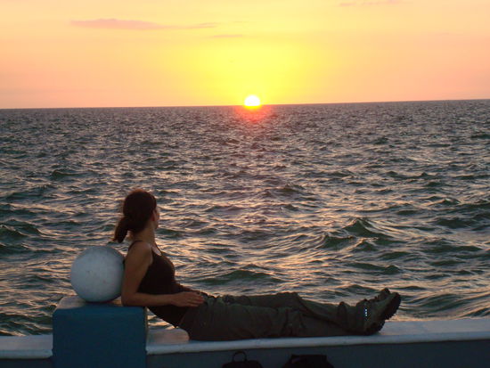 Es gibt schlechtere Orte um auf den Bus zu warten 