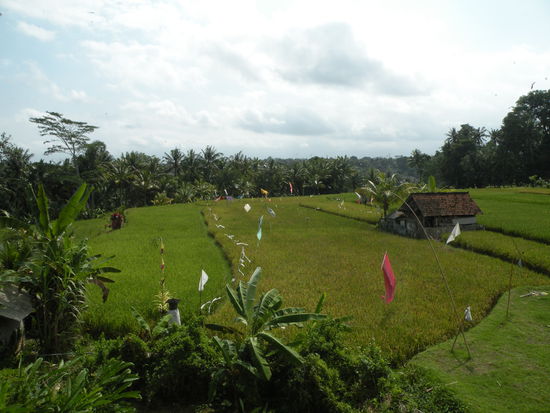 Aussicht aus unserem Zimmer