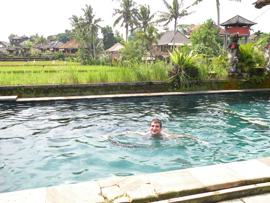Pool auf dem Dach des Guesthouses