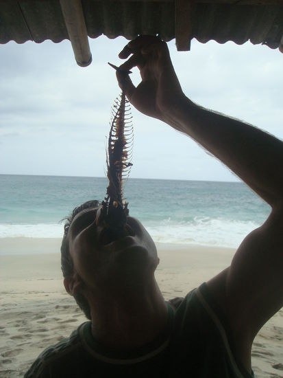 ...und er schmeckt gut!