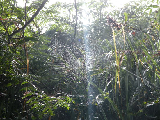 Kunstvolles in der Natur