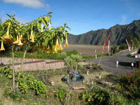 ... und ueber den Garten in den Tengger Krater