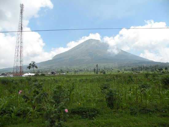 Auf dem Weg nach Wonosobo fahren wir durch atemberaubende Landschaften
