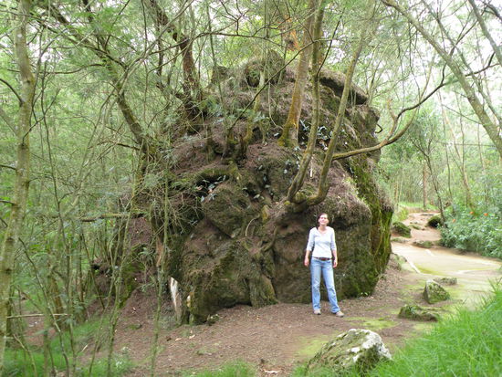 Auf dem Rundweg entlang zweier Zwillingseen vulkanischen Ursprungs