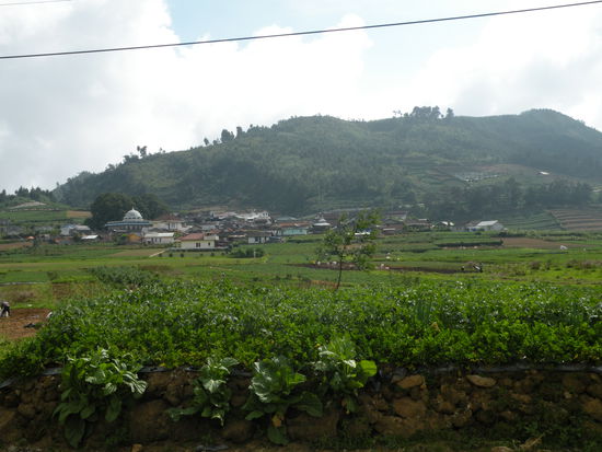 Das Dorf Dieng, umgeben von Gemueseanbauflaeche