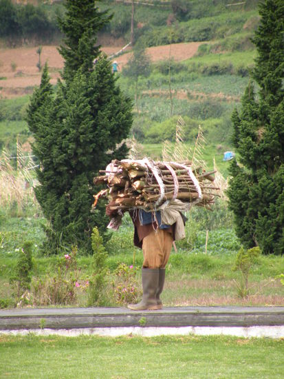 Die Leute arbeiten hart...