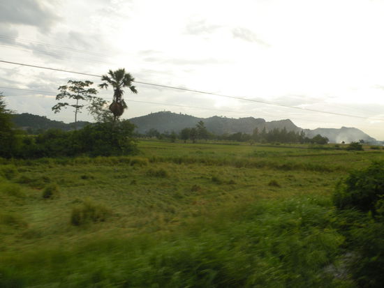 Trotz grosser Hitze alles sehr gruen
