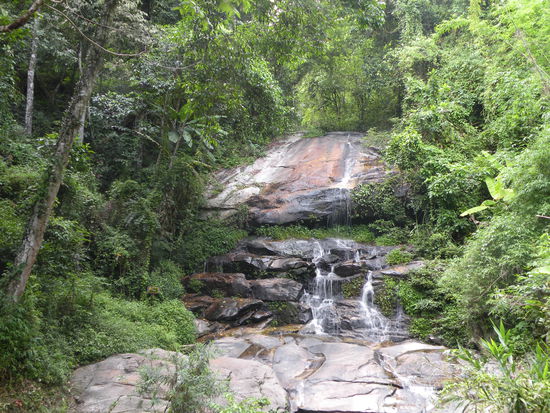 Im Doi Suthep Doi Pak Nationalpark
