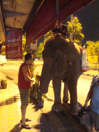 Ungewoehnliches Verkehrsmittel mitten in der Stadt