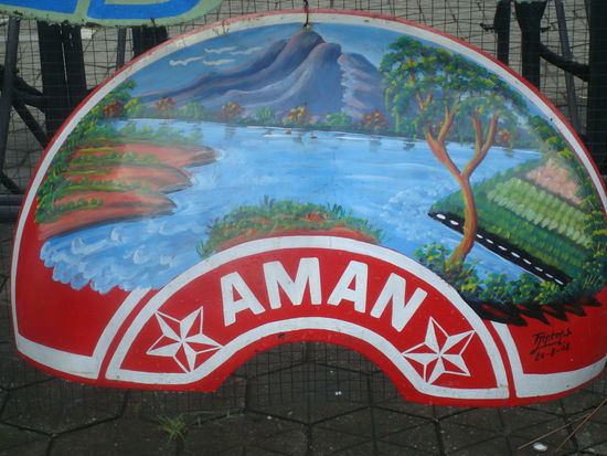 Kunstvolles Rikscha Schutzblech