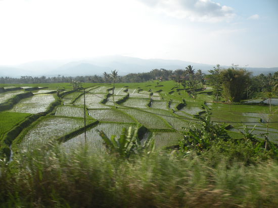Wiederum fahren wir...